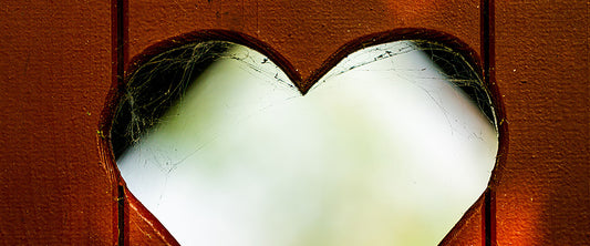 Why Users Love Separett: Honest Reviews from Real Owners