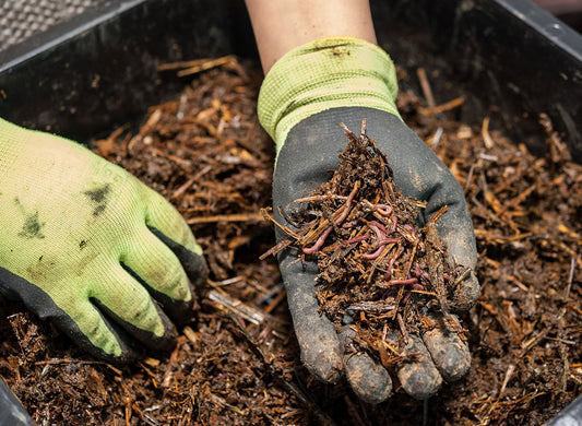 Compost matter on a glove
