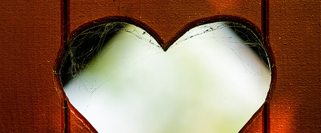 Why Users Love Separett: Honest Reviews from Real Owners